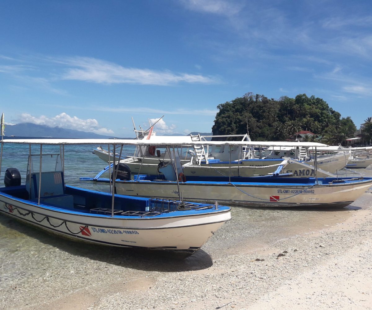 boats-scaled.jpg
